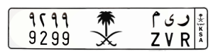 لوحة ر ي م -9299